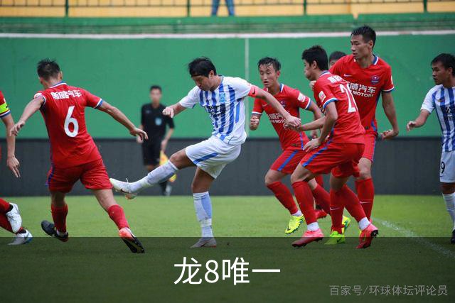 龙8唯一公司介绍